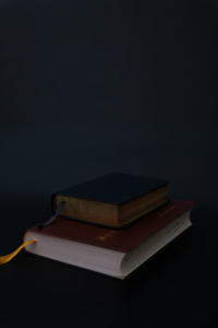 Read more about the article The Ash Ledger: A Thrilling Start